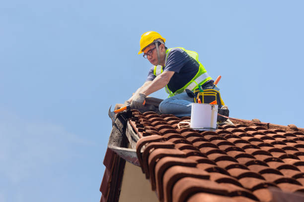 Best Roof Maintenance and Cleaning  in Wallace, ID